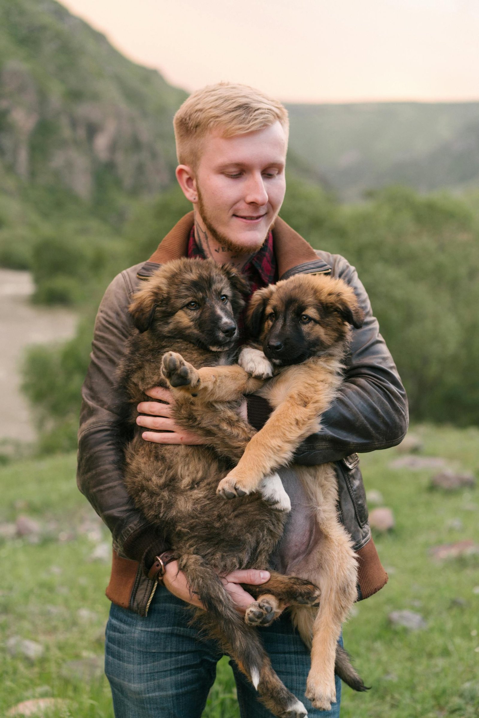 Man enjoying a joyful moment with two adorable German Shepherd puppies in a lush outdoor setting.